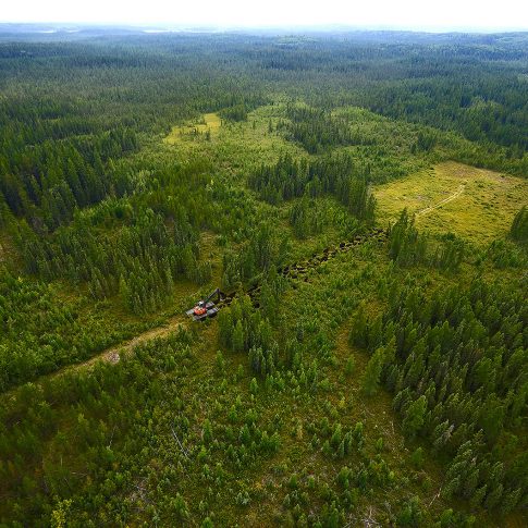 Caribou Preservation - Industrial - HarderLee