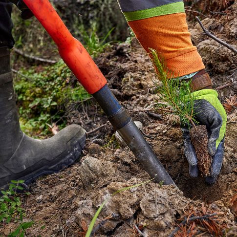 Tree Planting - Industrial - HarderLee